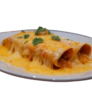 Chicken Enchilada